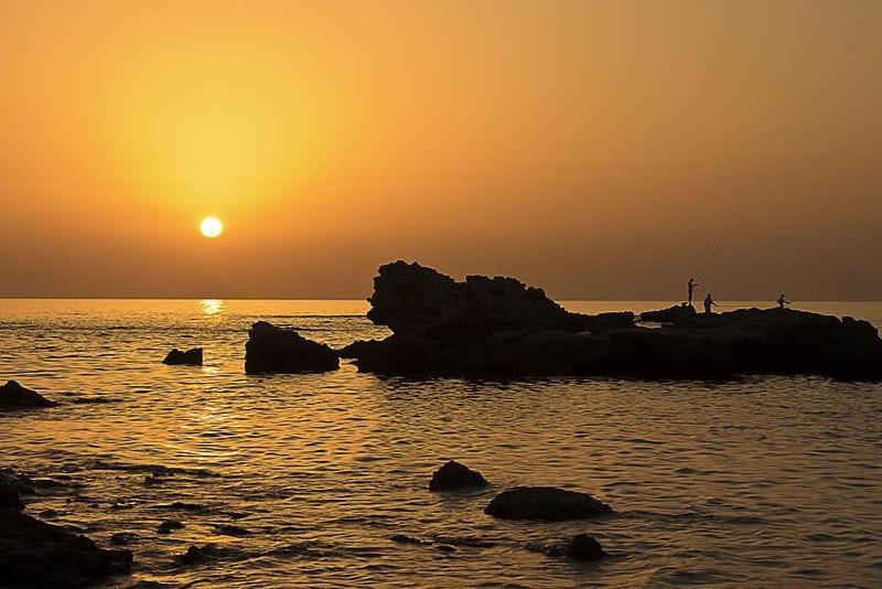 Suite Paradise - D111 Caesarea Eksteriør bilde